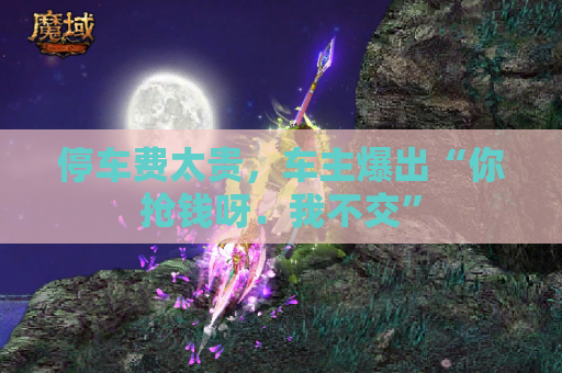 停车费太贵,车主爆出“你抢钱呀.我不交” 停车费太贵,车主爆出“你抢钱呀.我不交”