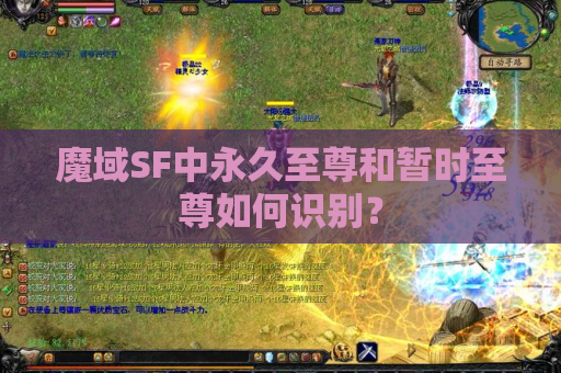 魔域SF中永久至尊和暂时至尊如何识别？