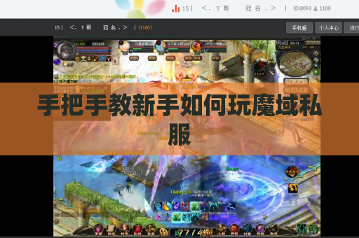 手把手教新手如何玩魔域私服 手把手教新手如何玩魔域私服
