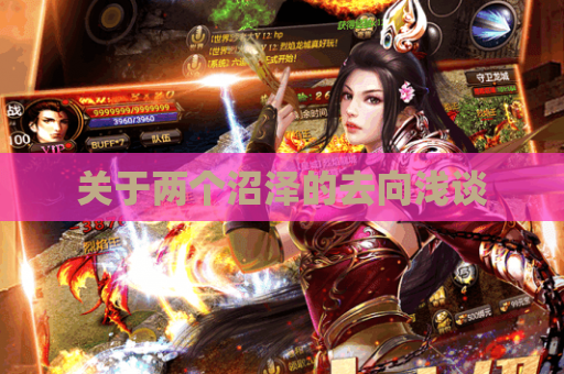 关于两个沼泽的去向浅谈