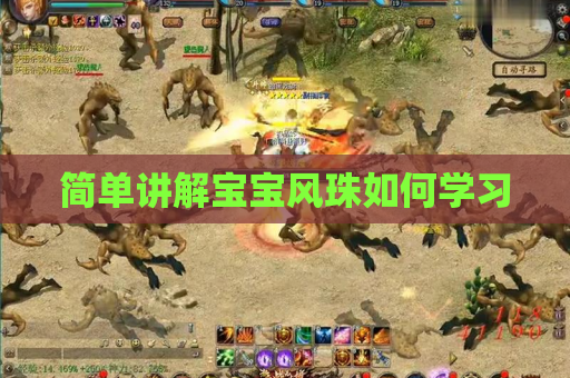 简单讲解宝宝风珠如何学习