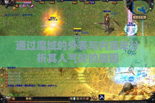 通过魔域的外表与内涵来分析其人气好的原因