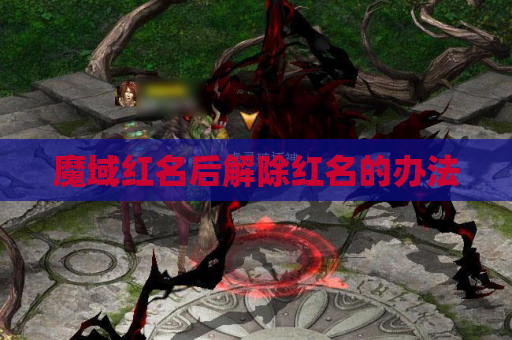魔域红名后解除红名的办法