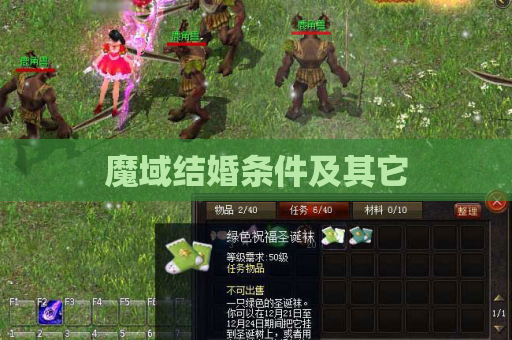 魔域结婚条件及其它