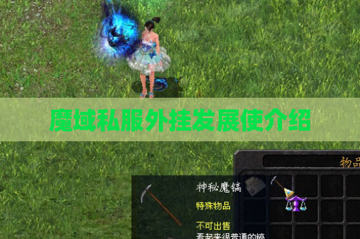 魔域私服外挂发展使介绍 魔域私服外挂发展使介绍