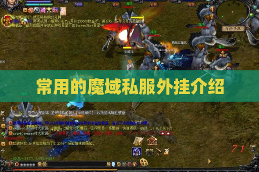 常用的魔域私服外挂介绍 常用的魔域私服外挂介绍