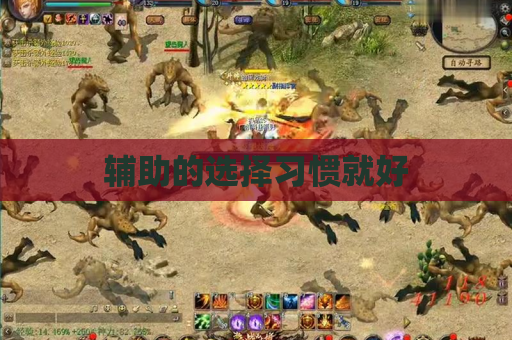 辅助的选择习惯就好 辅助的选择习惯就好