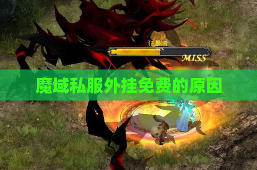 魔域私服外挂免费的原因
