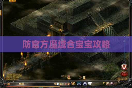 防官方魔域合宝宝攻略 防官方魔域合宝宝攻略