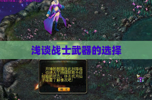 浅谈战士武器的选择