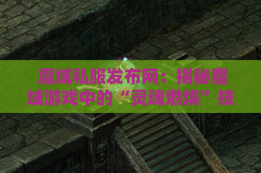  魔域私服发布网：揭秘魔域游戏中的“灵魂燃烧”技能