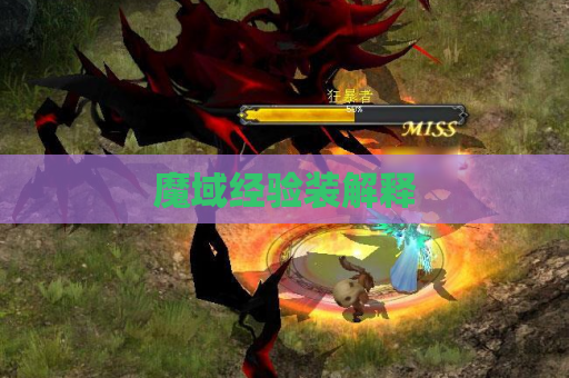 魔域经验装解释 魔域经验装解释