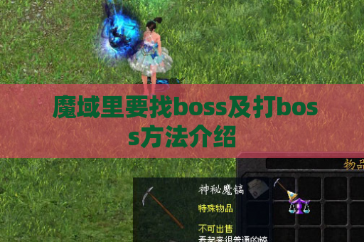 魔域里要找boss及打boss方法介绍 魔域里要找boss及打boss方法介绍